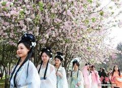 清明也分“早晚”？专家回应